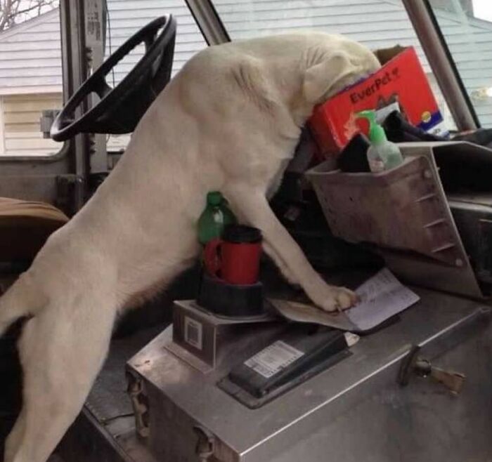 They Just Help Themselves To The Treats Around Here. Atlantic, Iowa