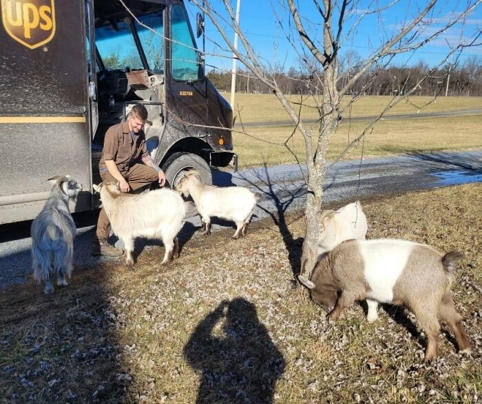 Hello From Gerrardstown, Wv