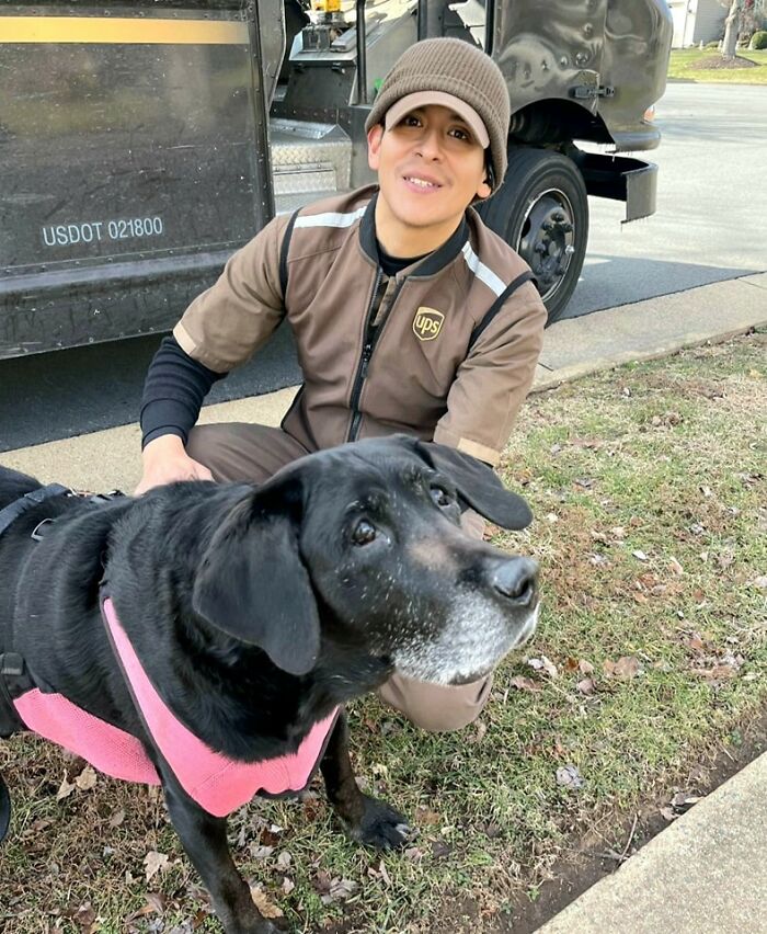 Wanted To Send This Great Picture Of Maggie The Lab And Or Local Driver In Sterling Va