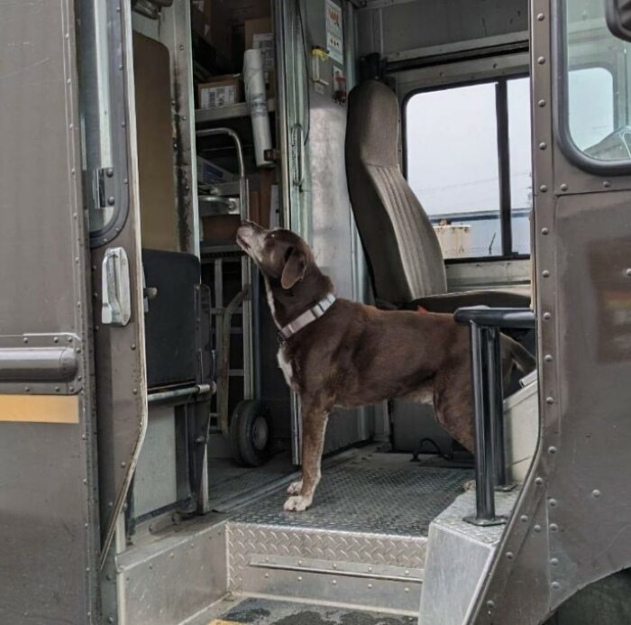 Marmora Nj With Monster The Dog