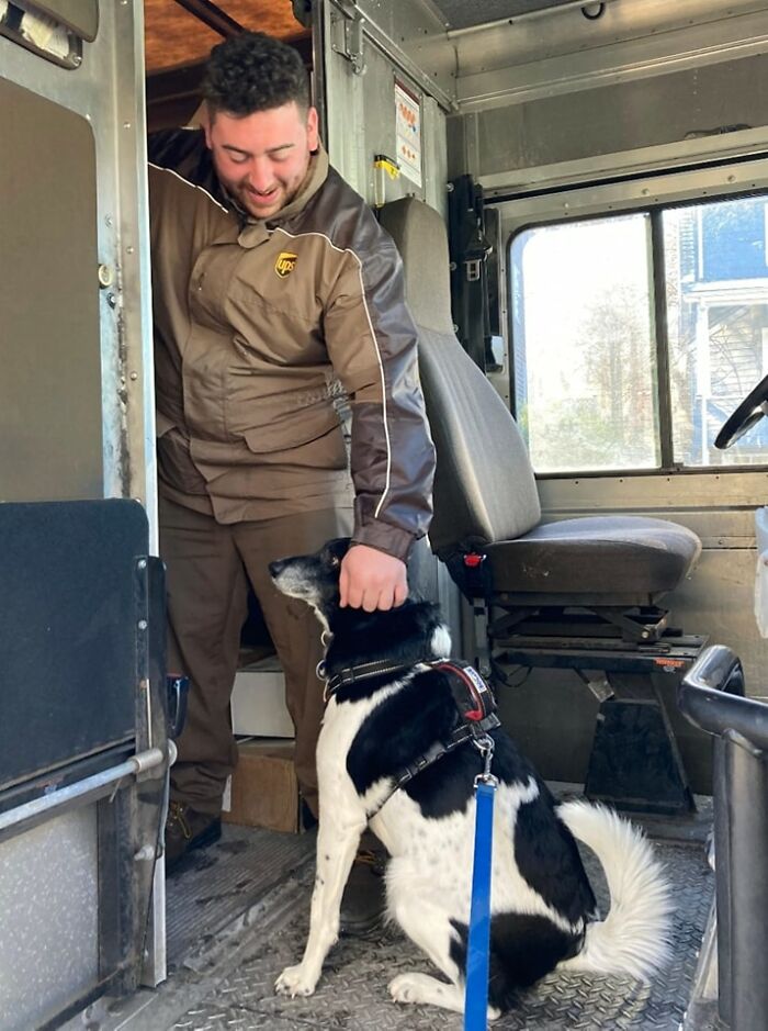 In Arlington, Ma. Prince Just Jumped In Very Excitedly!