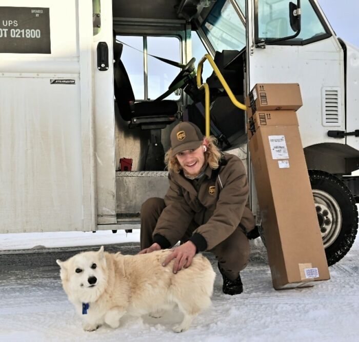 Our Corgi Dobbsy Waits For Driver Jordan To Arrive Here In Cody, Wyoming. Jordan Isn't Driving Brown. Holiday Required Extra Trucks