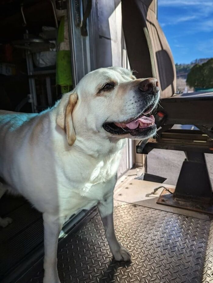 "Cruise " And Jerry Our UPS Driver.. Hawthorn, Pa