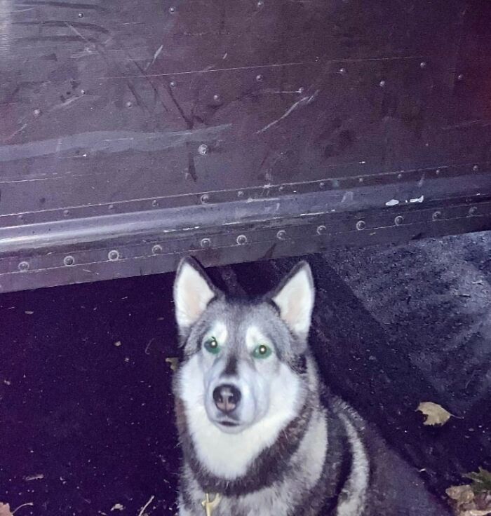 Hello From Somerville, Ma