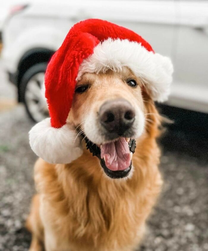 We [love] Our UPS Guy!! @digginjet Loaded Up Twice! Mcminnville, Tn