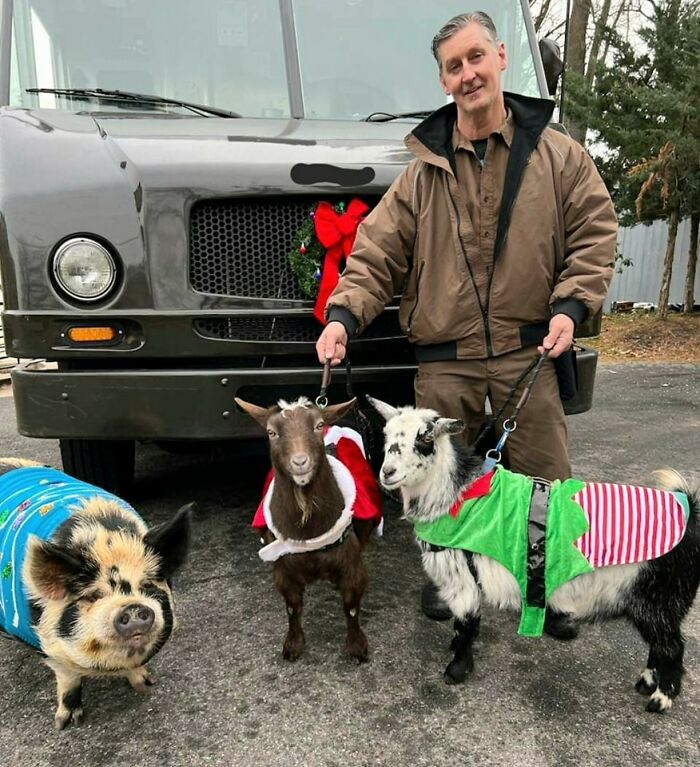 We Have Some Strange Looking Dogs Here In Nyack, NY