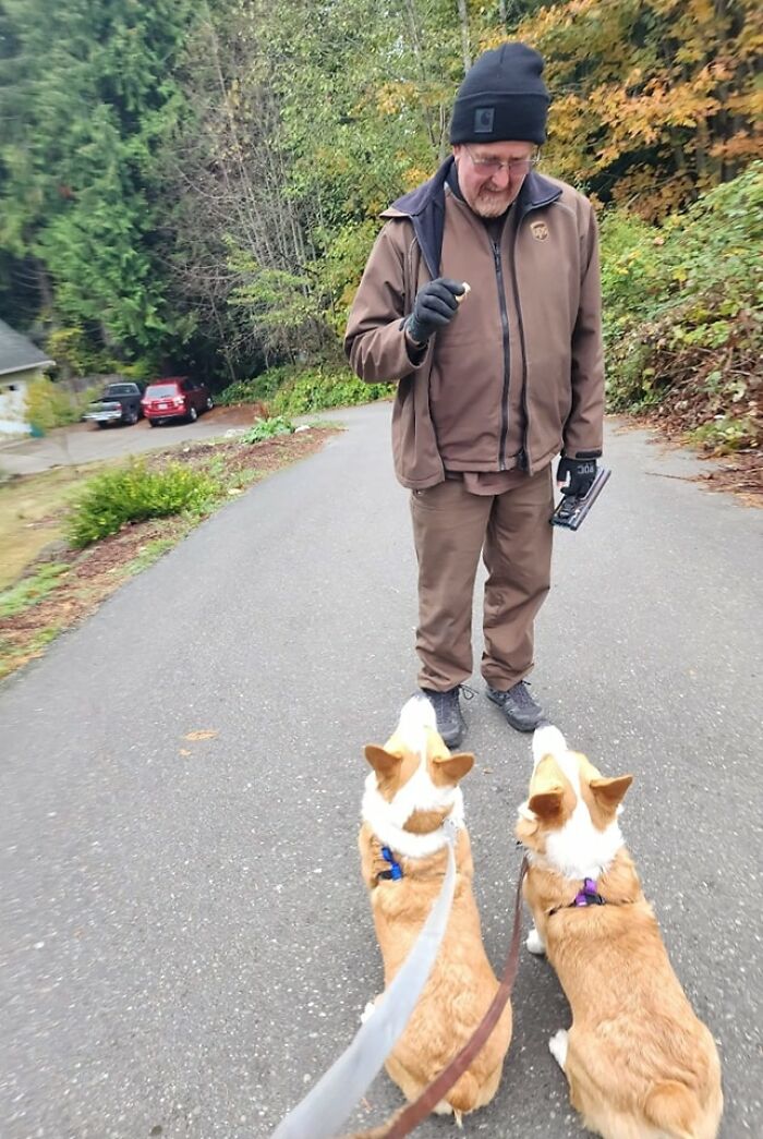 Fergus And Finn Have Finally Met The UPS Driver Up Close And Received Their Treats In Person! Kingston, Wa