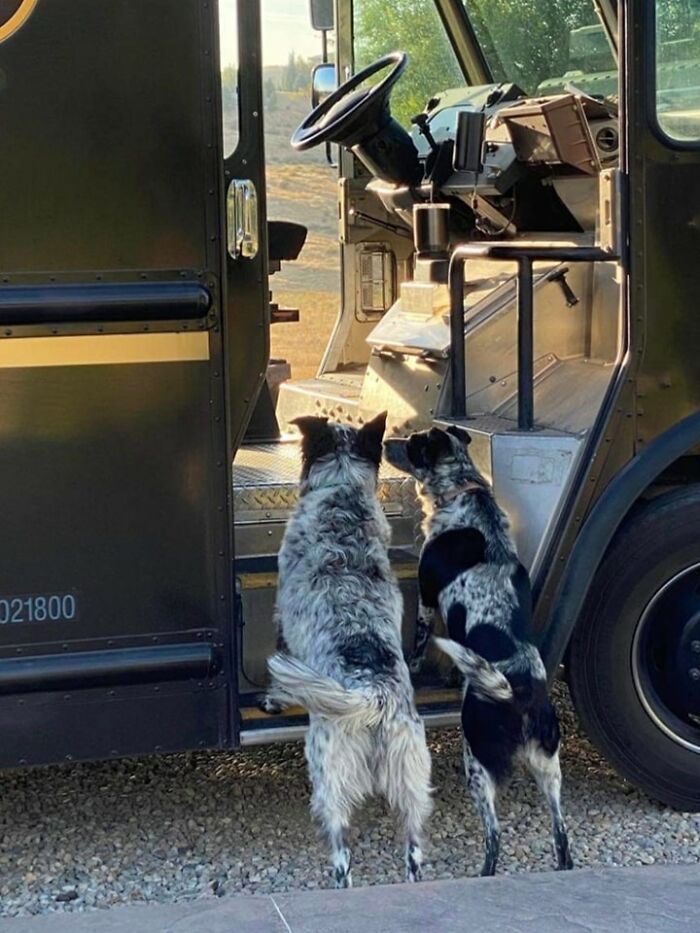 Better Than The Ol’ Ice Cream Truck. Lola And Monroe, Eagle, Idaho