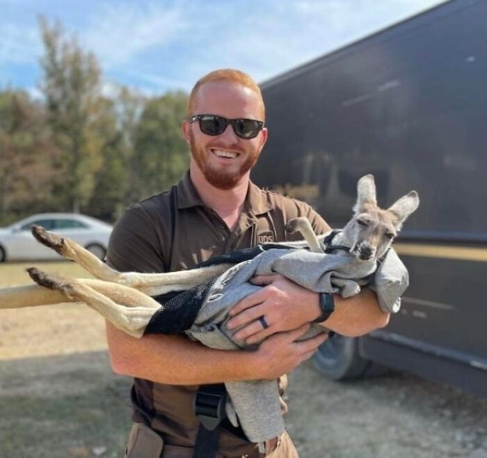 Mississippi Therapy Animals. Therapy Kangaroo Twix Sandhill, Mississippi