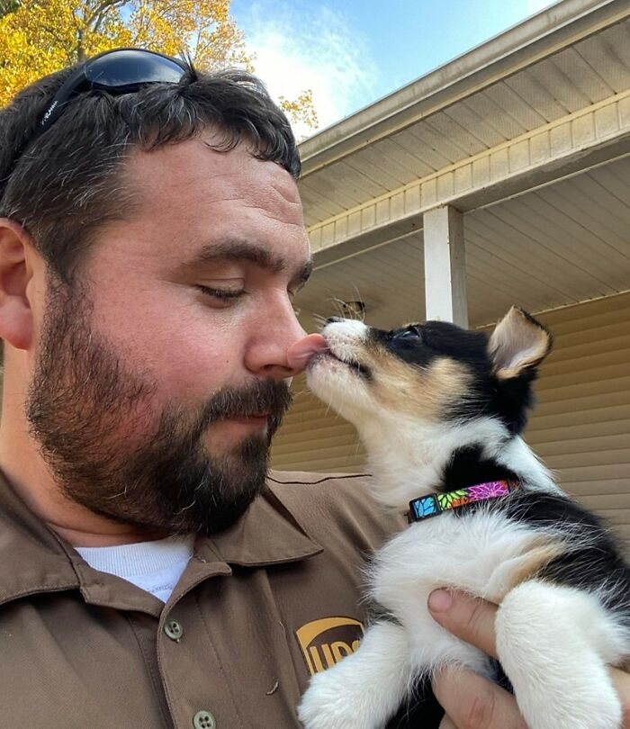 I Met A New Little Friend That I Want To Share. She’s A Aussie/Corgi Mix Named Daisy.... Hickman Kentucky