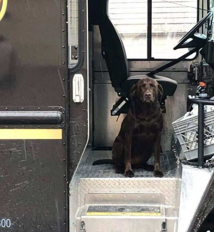 My Emma In Michigan. She Applied For A Job As A Ride Along With Her Favorite Guy Dino!