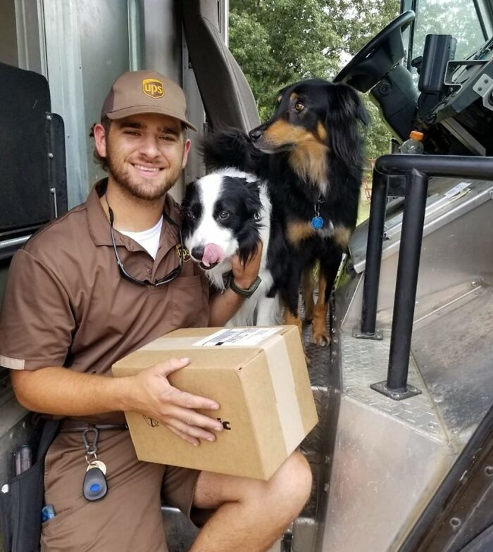 Brynn (English Shepherd) And Zed (Border Collie) Love When Clay Comes To Visit! (Starkville, Ms)