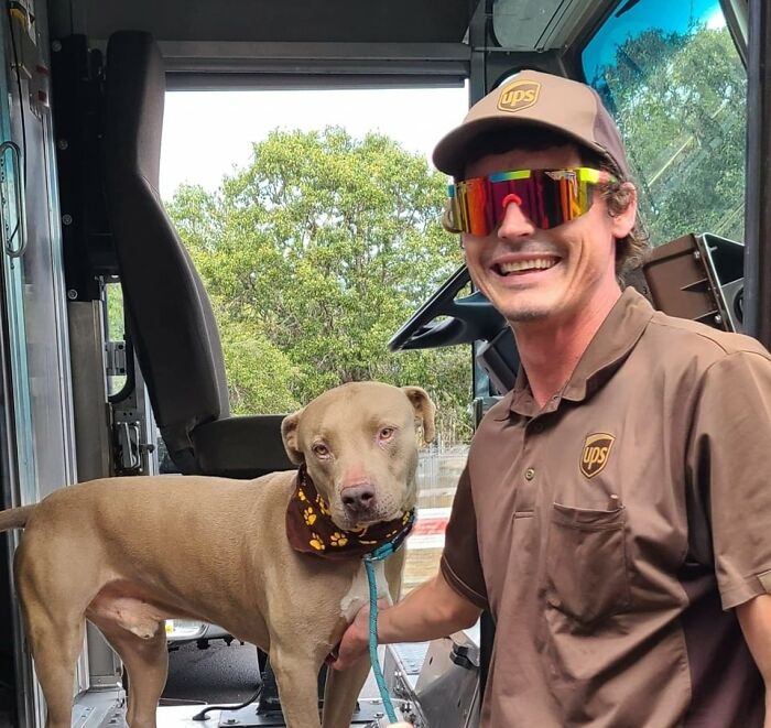 Grants Pass, Oregon. Cooper Is A Dog Available For Adoption At The Josephine County Animal Shelter!