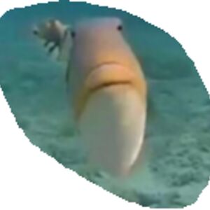 liam-dexter0001_school avatar