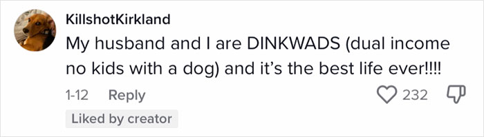 People Are Loving This Newly Married Couple&rsquo;s Lifestyle Which Is Dual Income, No Kids Or DINK