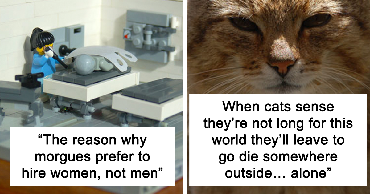 27 Facts That Might Make You Think “That’s Enough Internet For One Day”