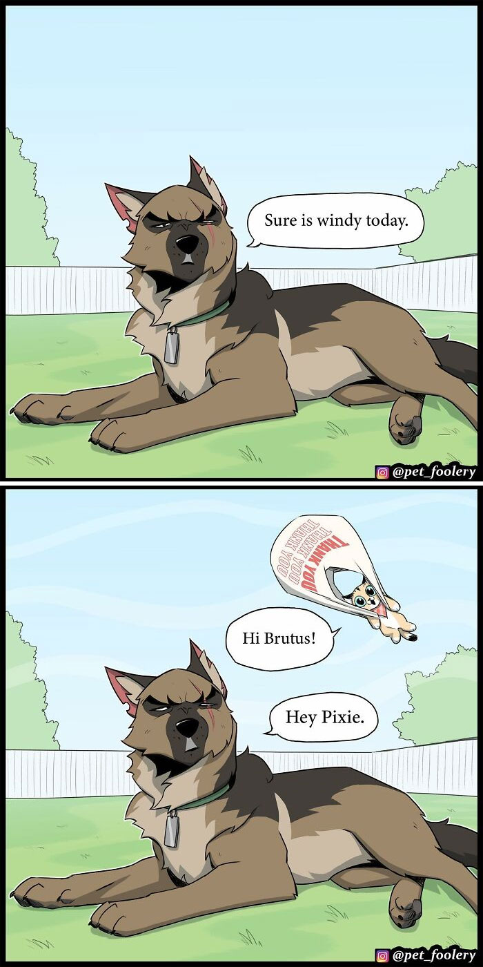 7 New Hilariously Adorable Comics From The Internet&rsquo;s Most Loved Cat And Dog Duo To Instantly Make Your Day