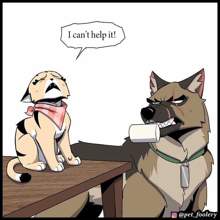 7 New Hilariously Adorable Comics From The Internet&rsquo;s Most Loved Cat And Dog Duo To Instantly Make Your Day