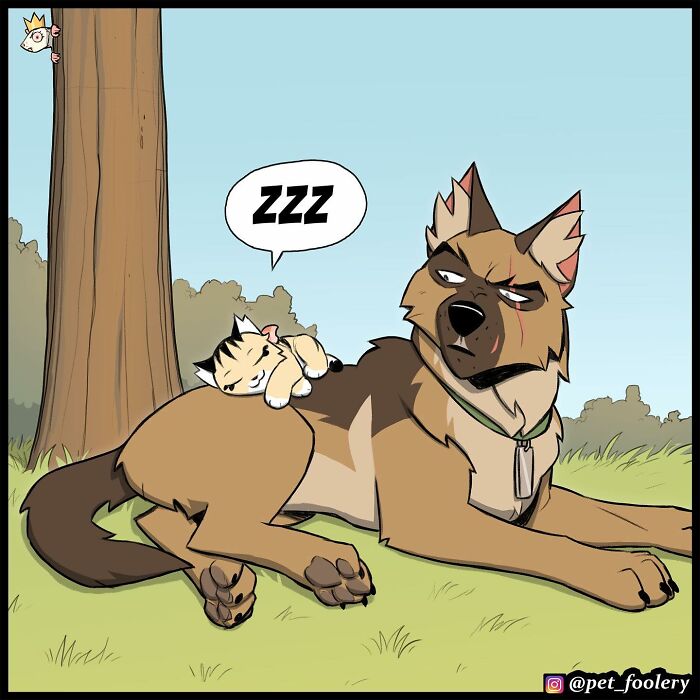 7 New Hilariously Adorable Comics From The Internet&rsquo;s Most Loved Cat And Dog Duo To Instantly Make Your Day