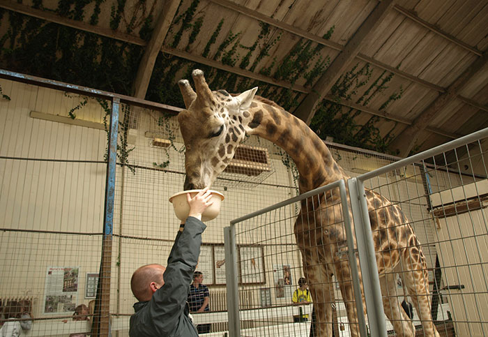 People Who Actually Got Their "Dream Job" Share Why It Actually Sucked (30 Stories)