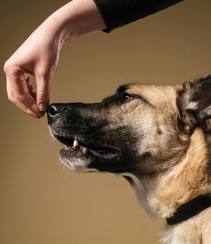 People Who Actually Got Their "Dream Job" Share Why It Actually Sucked (30 Stories)