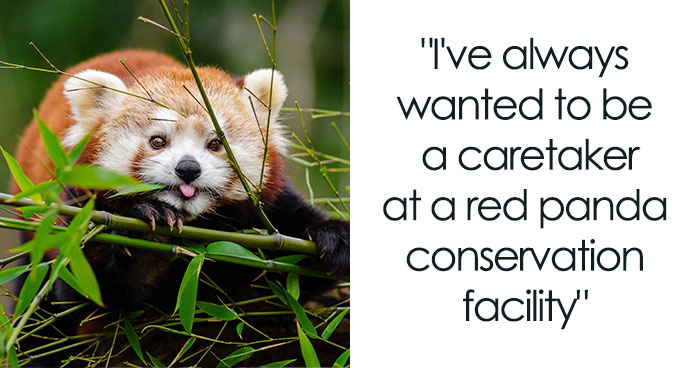 “What’s Your Dream Job?”: Here Are 62 Epic, Inspiring, And Honest Responses