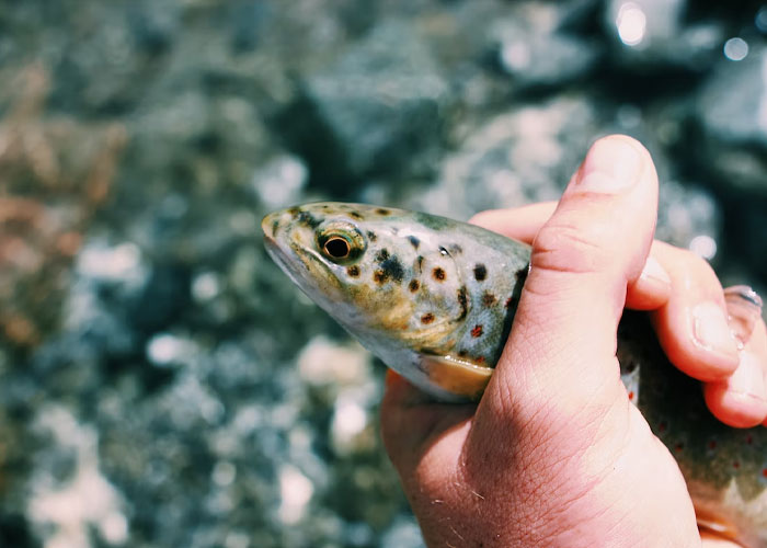 30 Savage Ways People Got Revenge On Their Bosses Before Leaving The Job