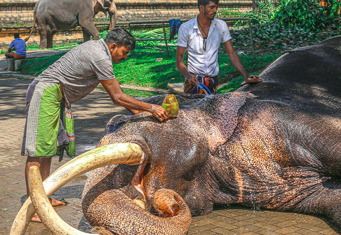 30 People Share Popular Misconceptions About Their Jobs