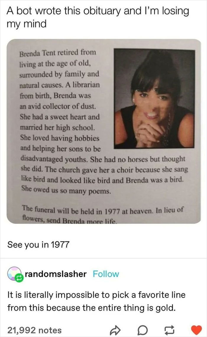 English-Memes-Bruh-Moments