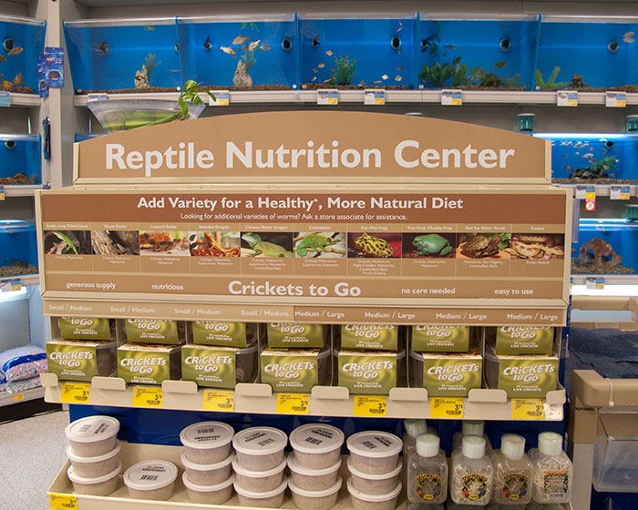Karen Insists Pet Store Worker Must Count Each Live Cricket, They Maliciously Comply And She Ends Up Leaving The Store Embarrassed Karen Insists Pet Store Worker Must Count Each Live Cricket, They Maliciously Comply And She Ends Up Leaving The Store Embarrassed