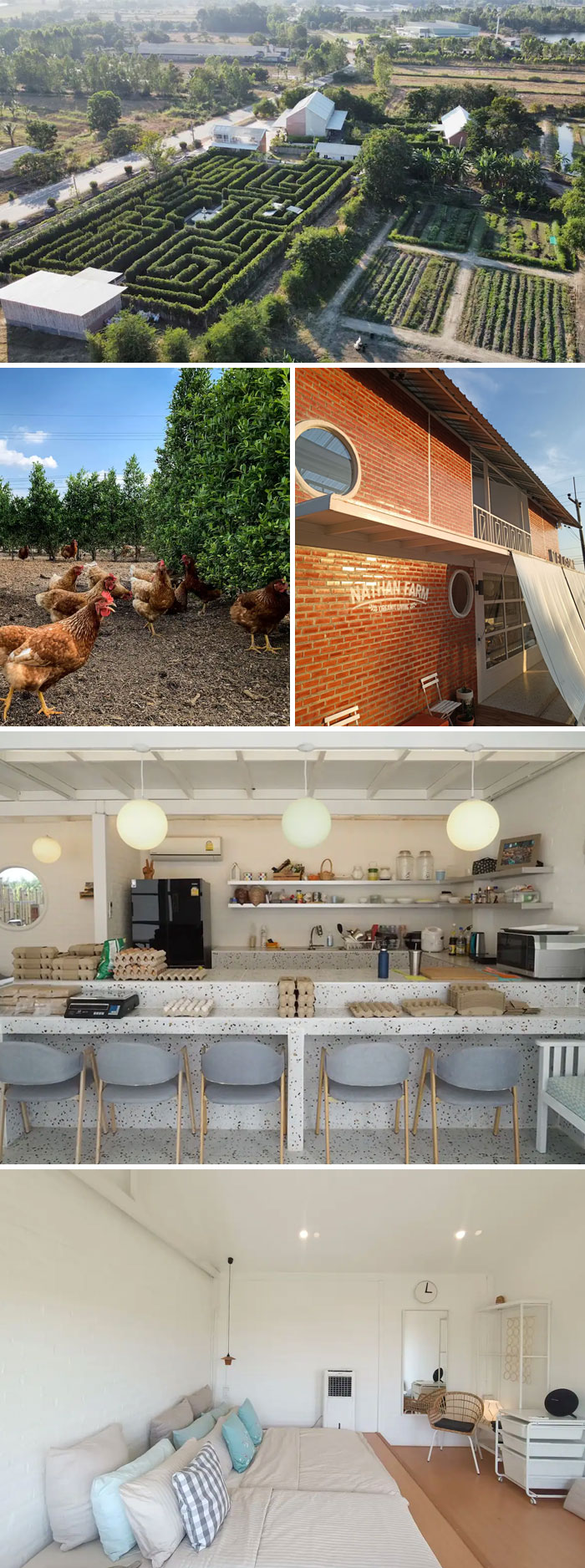 Barn Stay In A Hedge Maze Free-Range Chicken Farm. Tambon Khao Hin Son, Chang Wat Chachoengsao, Thailand