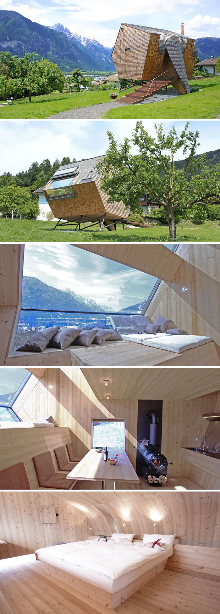 Ufogel. Nußdorf/Debant, Austria