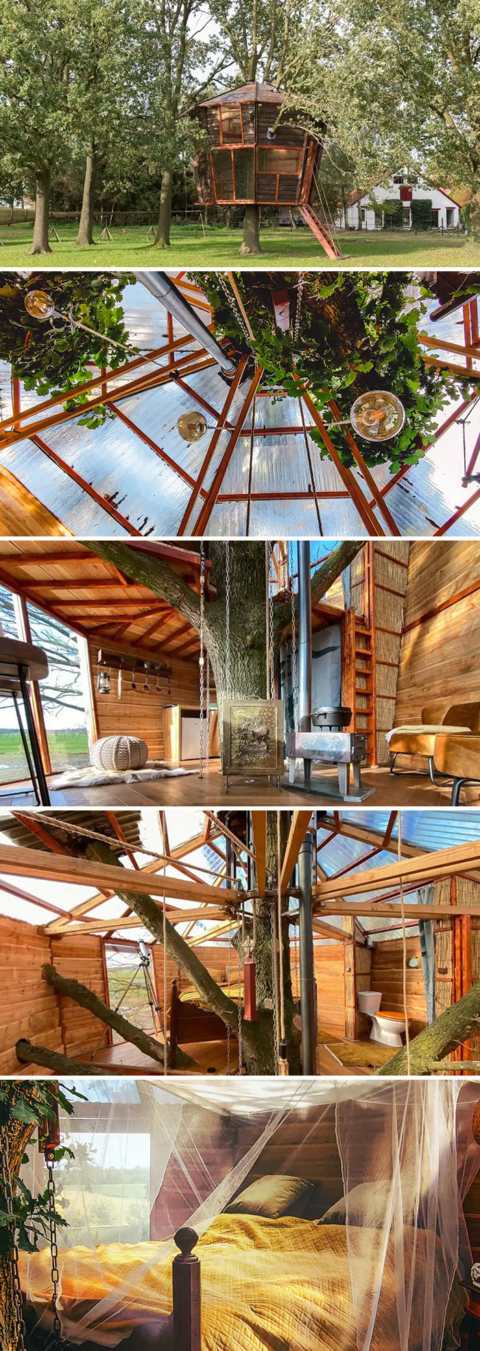 Treehouse Goldsworthy. Halle, Gelderland, Netherlands