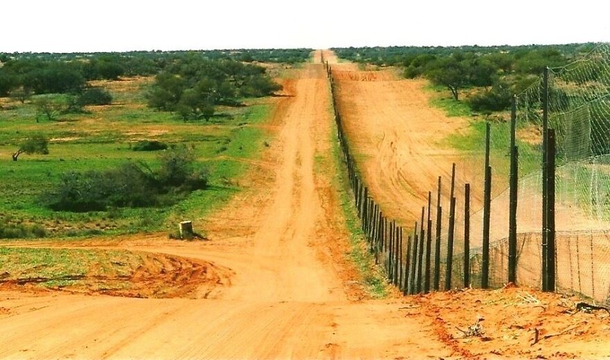 Sturt National Park - Dingo Fence - Camerons Corner