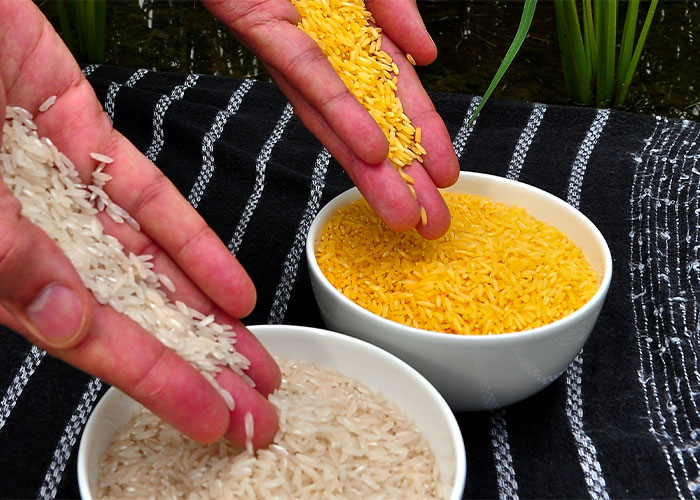 40 Products That Failed Just Because People Were Too Stupid To Understand Them