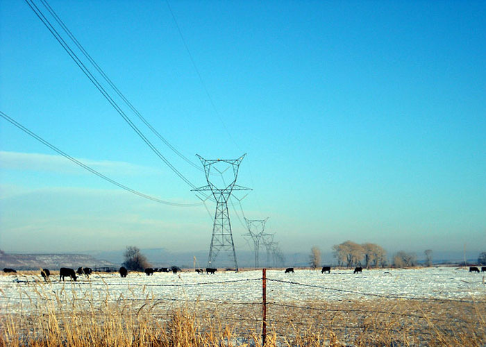 40 Products That Failed Just Because People Were Too Stupid To Understand Them