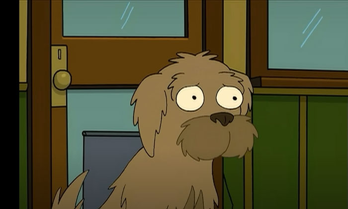 Cartoon dog with shaggy fur and wide eyes, looking surprised in a room with wooden walls and windows.