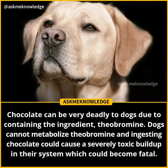 Fascinating-Educational-Facts-Askmeknowledge