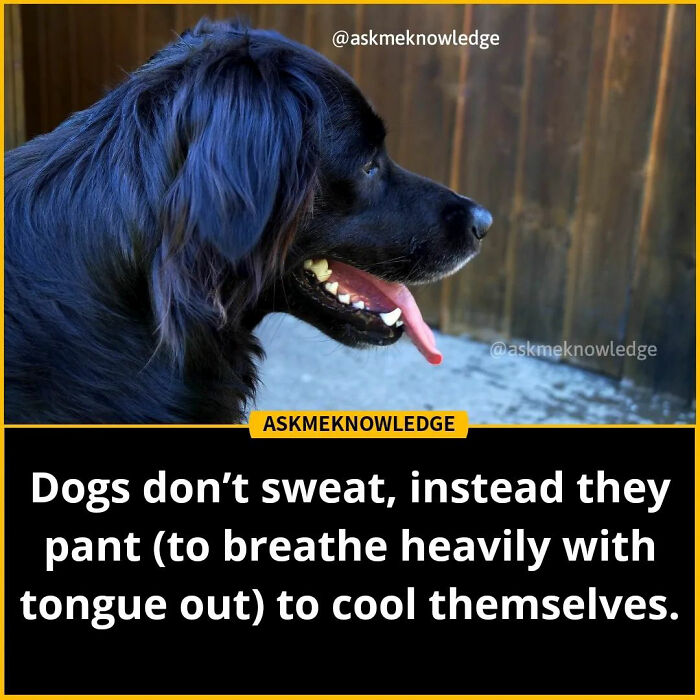 Fascinating-Educational-Facts-Askmeknowledge