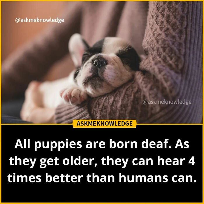 Fascinating-Educational-Facts-Askmeknowledge