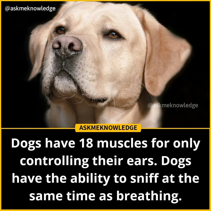 Fascinating-Educational-Facts-Askmeknowledge