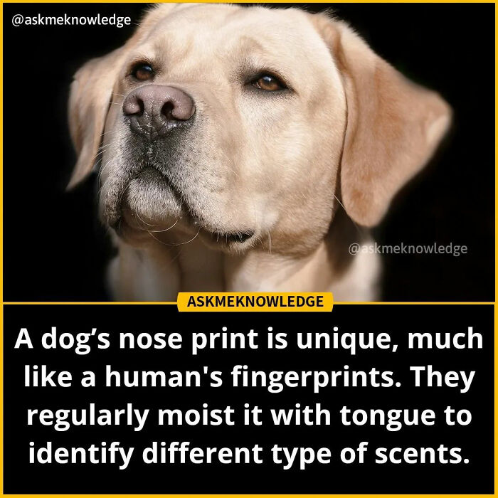 Fascinating-Educational-Facts-Askmeknowledge