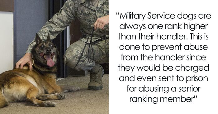 40 Interesting Facts About Practically Everything You Might Not Have Known, Shared By This Instagram Page