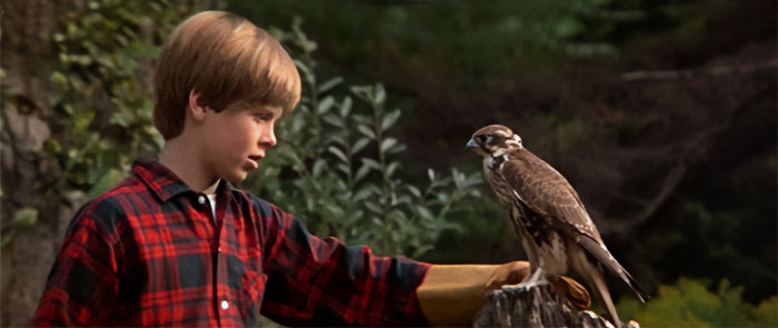 My Side Of The Mountain