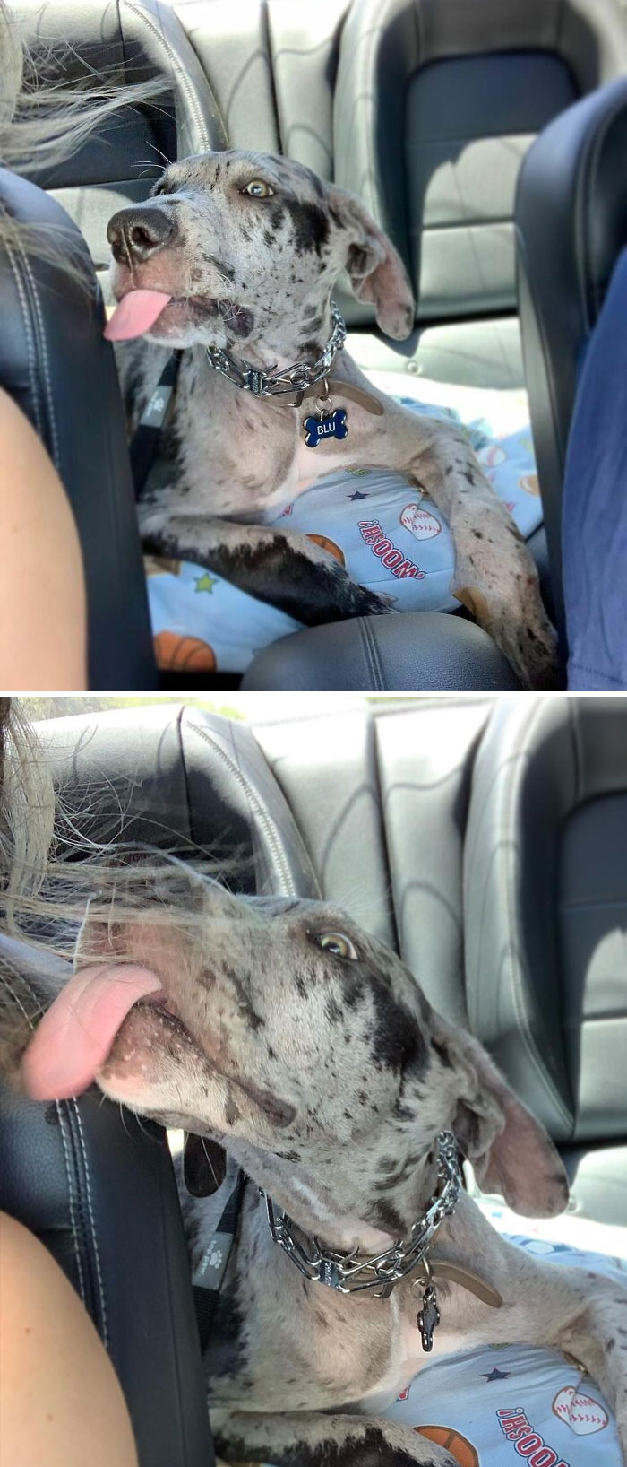 This Might Look Like Kisses, But Actually I Was Trying To Pull Mama's Hair