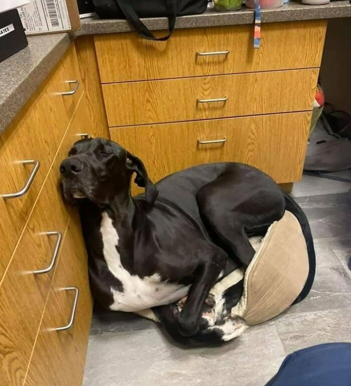 I Think The Picture Says It All