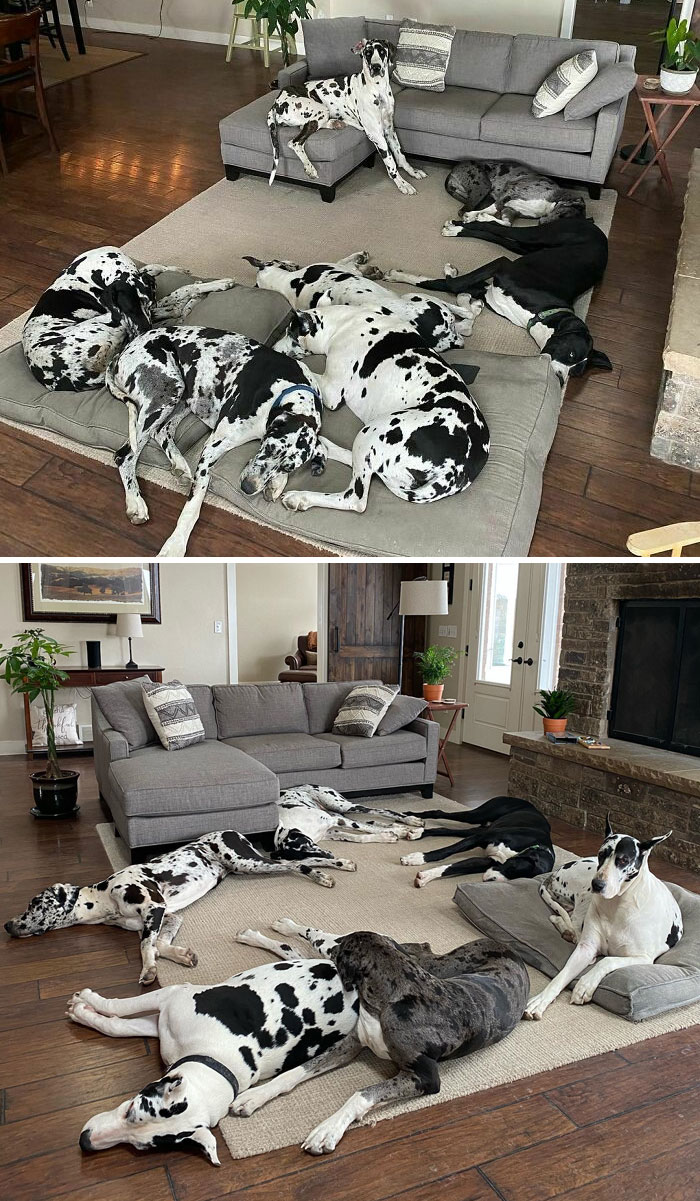 I Totally See Floor Space For Another