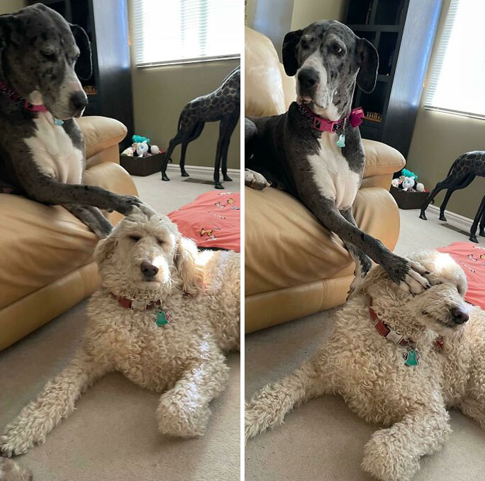 Consider This A Friendly Pat