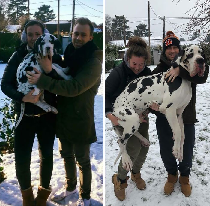 Same Photo Just One Year Later. Mom And Dad Shrunk