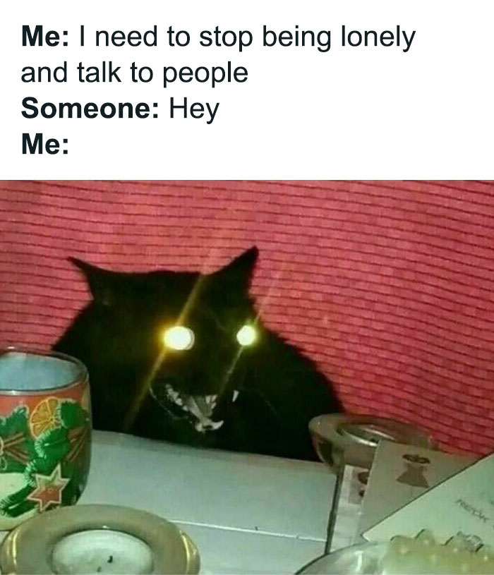 Glowing-eyed cat, captioned meme with text humorously depicting awkward social interaction, popular on Evil Kermit.
